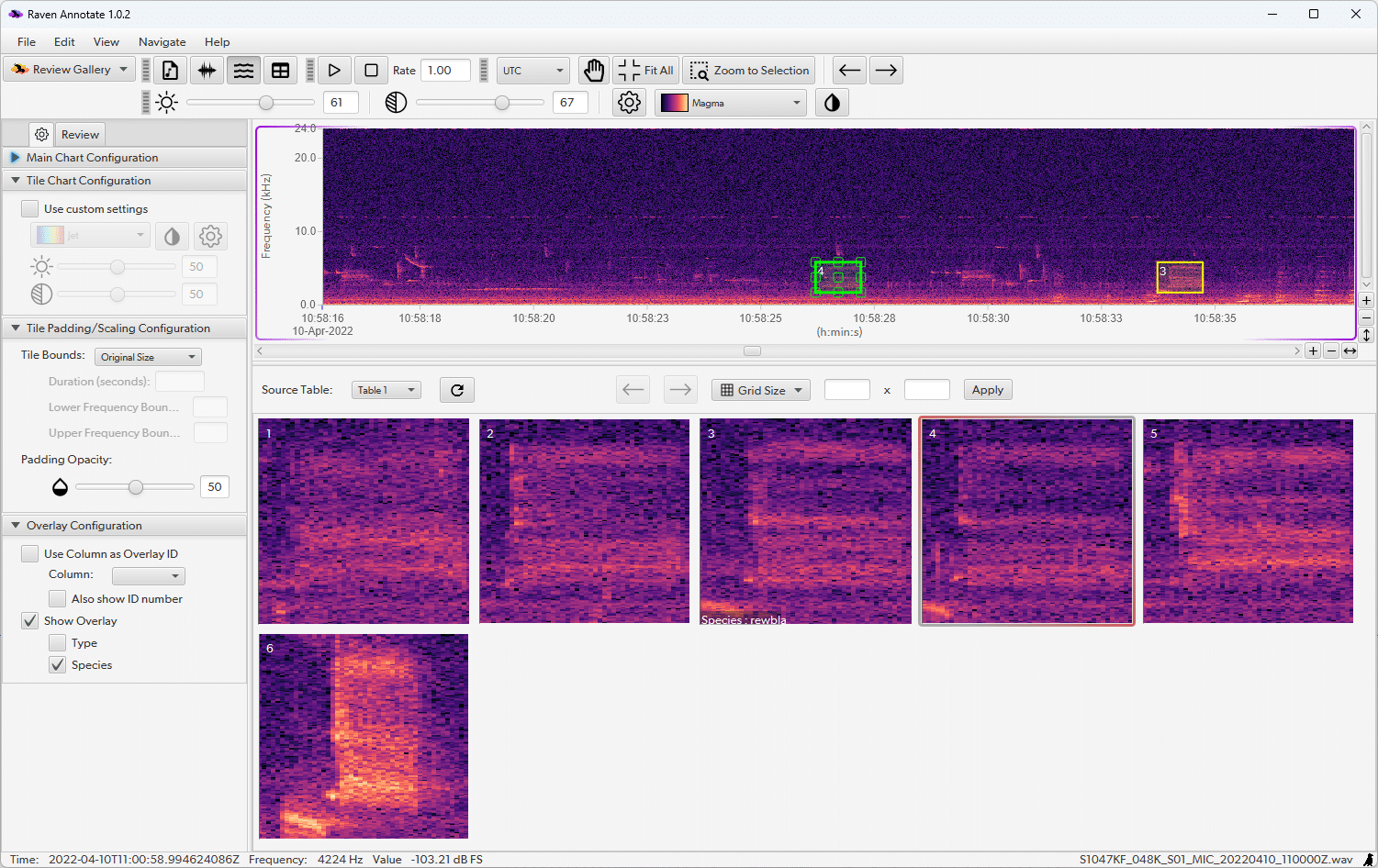 Raven Pro Spectrogram Raven Annotate – Cornell Lab of Ornithology – Cornell University
